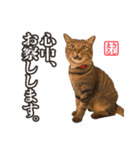 KIJIMARUスタンプ Part3（個別スタンプ：26）