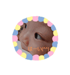 桜太くんスタンプ2（個別スタンプ：24）