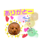 プーの日常。（個別スタンプ：9）