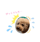 プーの日常。（個別スタンプ：12）