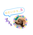 プーの日常。（個別スタンプ：13）