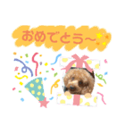 プーの日常。（個別スタンプ：17）