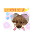 プーの日常。（個別スタンプ：24）