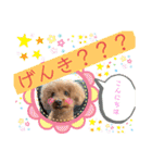 プーの日常。（個別スタンプ：26）