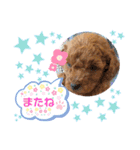プーの日常。（個別スタンプ：32）