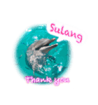 パラオのイルカスタンプ Dolphins Pacific（個別スタンプ：3）