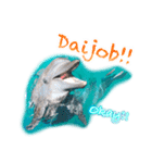 パラオのイルカスタンプ Dolphins Pacific（個別スタンプ：4）