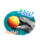 パラオのイルカスタンプ Dolphins Pacific（個別スタンプ：5）