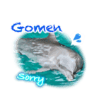 パラオのイルカスタンプ Dolphins Pacific（個別スタンプ：9）