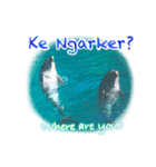 パラオのイルカスタンプ Dolphins Pacific（個別スタンプ：13）