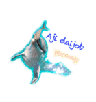 パラオのイルカスタンプ Dolphins Pacific（個別スタンプ：14）