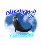 パラオのイルカスタンプ Dolphins Pacific（個別スタンプ：18）