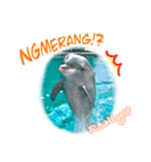 パラオのイルカスタンプ Dolphins Pacific（個別スタンプ：19）