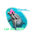 パラオのイルカスタンプ Dolphins Pacific（個別スタンプ：22）