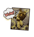 面白いスタンプ猫（個別スタンプ：7）