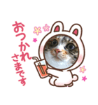 うちの⑤にゃんこ★ねことも（個別スタンプ：7）