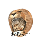猫スタンプ仲良し2匹（個別スタンプ：30）