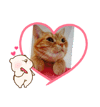猫のクーザ＆あーちゃん＆ルタ（個別スタンプ：7）