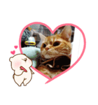 猫のクーザ＆あーちゃん＆ルタ（個別スタンプ：10）