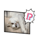 猫 だーい好き 3（個別スタンプ：8）
