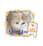 猫 だーい好き 3（個別スタンプ：10）