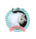 猫 だーい好き 3（個別スタンプ：12）
