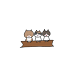 河田家の猫たち（個別スタンプ：10）