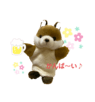 こりすの毎日（個別スタンプ：3）