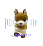 こりすの毎日（個別スタンプ：8）