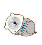 ぷうたろうでございます。No.9（個別スタンプ：3）