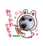 ぷうたろうでございます。No.9（個別スタンプ：4）