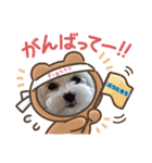ぷうたろうでございます。No.9（個別スタンプ：7）