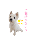 大福スタンプ4（個別スタンプ：10）