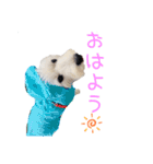 大福スタンプ4（個別スタンプ：30）