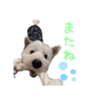 大福スタンプ4（個別スタンプ：33）