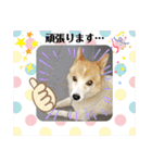 メルたんの日常（個別スタンプ：6）