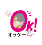 メルたんの日常（個別スタンプ：10）