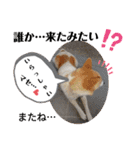 メルたんの日常（個別スタンプ：14）