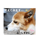 メルたんの日常（個別スタンプ：27）