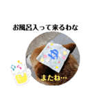 メルたんの日常（個別スタンプ：30）