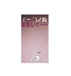 君が大切☆©️ampic（個別スタンプ：18）