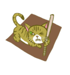 猫生観（個別スタンプ：7）