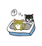 猫生観（個別スタンプ：25）