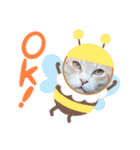 アーユルキャット4（個別スタンプ：5）