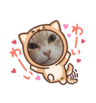 アーユルキャット4（個別スタンプ：12）