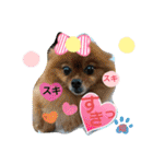 ポメポメちゃん仲間達 ❷ 2020（個別スタンプ：1）