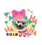 ポメポメちゃん仲間達 ❷ 2020（個別スタンプ：16）