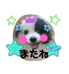 ポメポメちゃん仲間達 ❷ 2020（個別スタンプ：18）