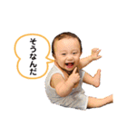 きぼたん（個別スタンプ：21）