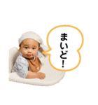 きぼたん（個別スタンプ：24）